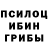 Псилоцибиновые грибы GOLDEN TEACHER Ganibay Tolibaev