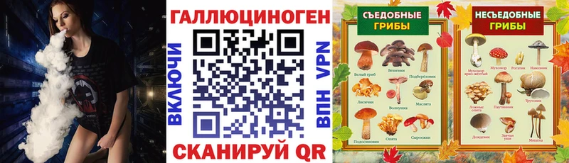 Галлюциногенные грибы прущие грибы  Тихвин 